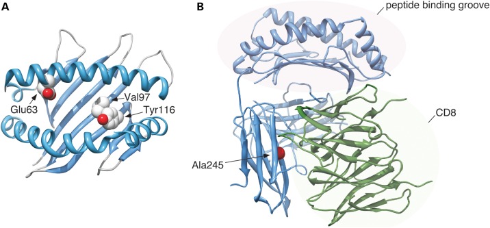 Figure 4.