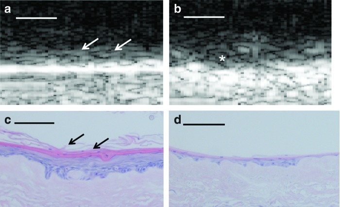 FIG. 6.