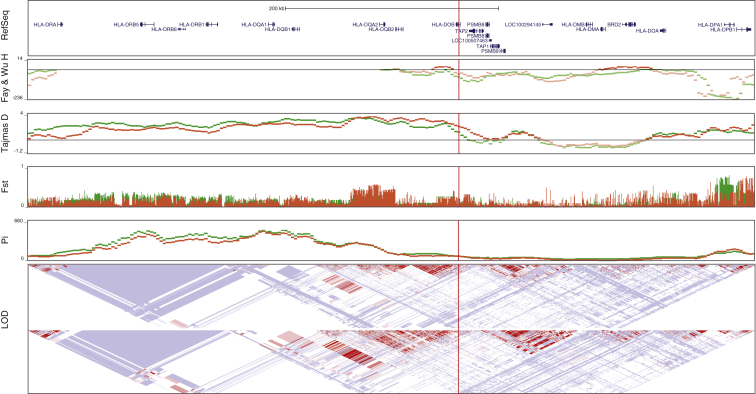 Figure 5