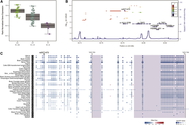 Figure 1