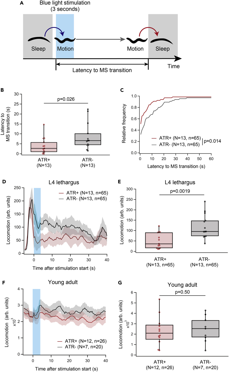 Figure 4