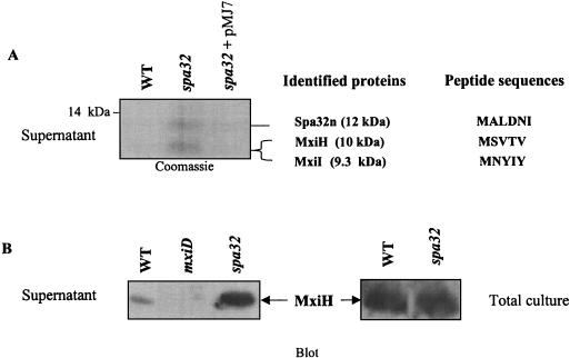 FIG. 5.