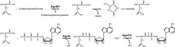 Fig. 4.