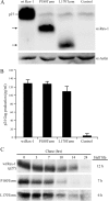 FIG. 8.