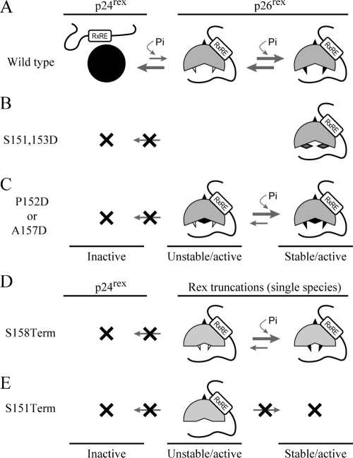 FIG. 7.