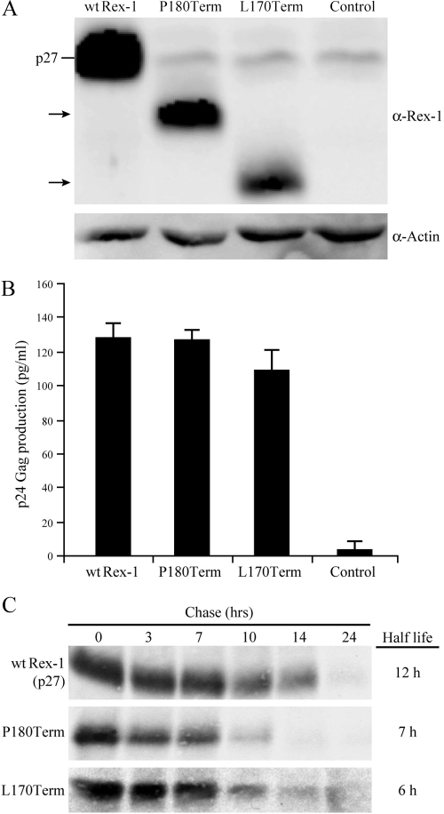 FIG. 8.