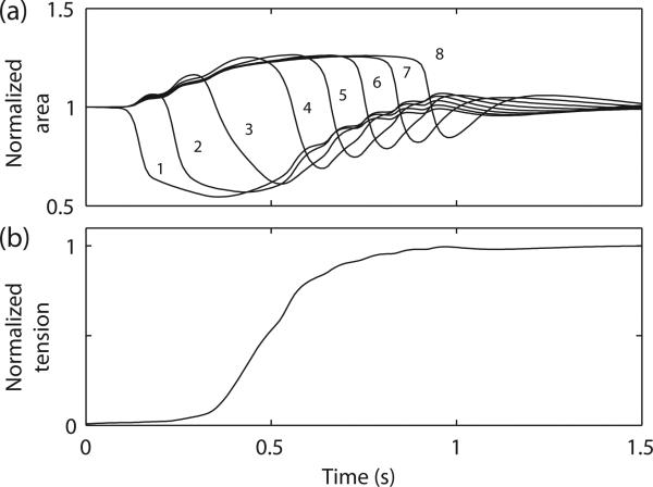 Fig. 5