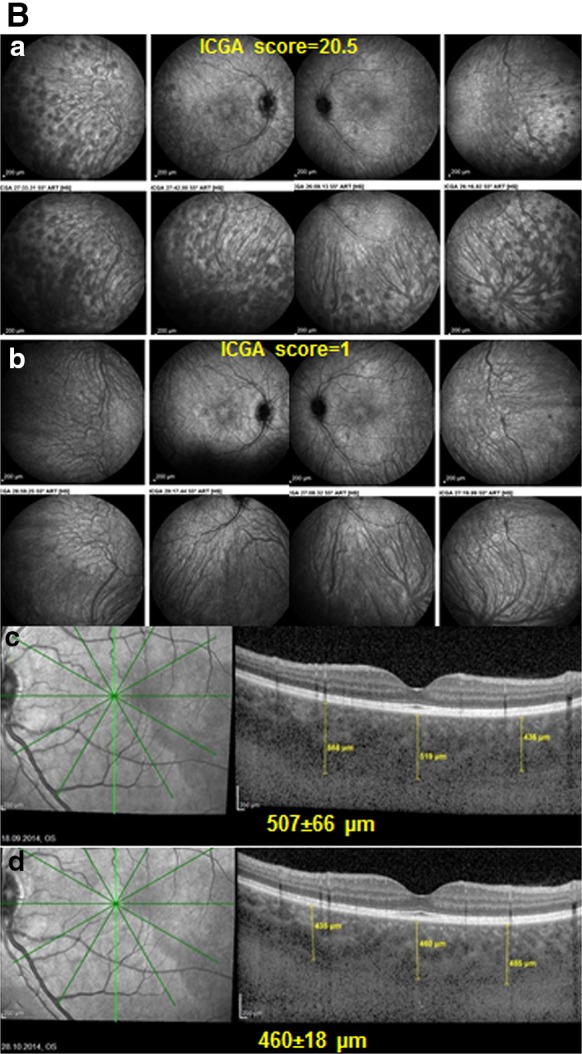 Fig. 5