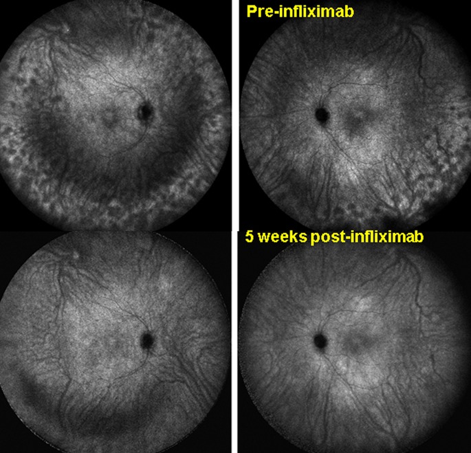 Fig. 3