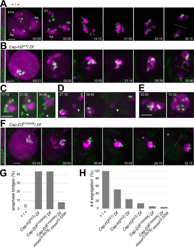 Fig 4