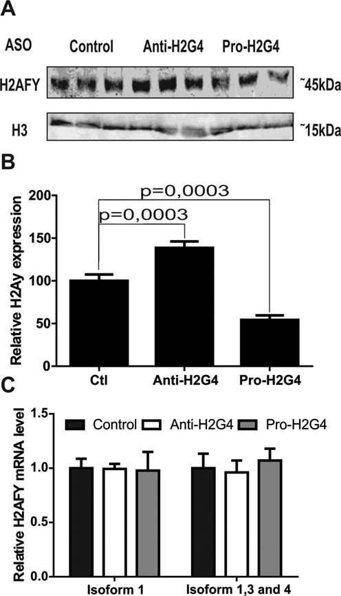 Figure 5.