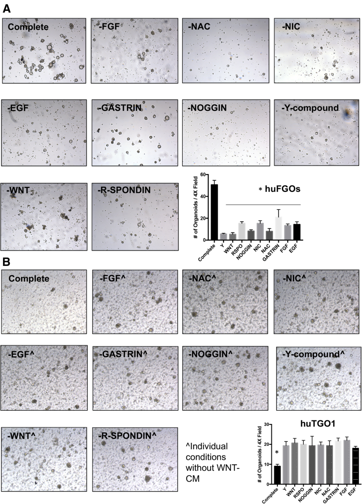 Figure 14