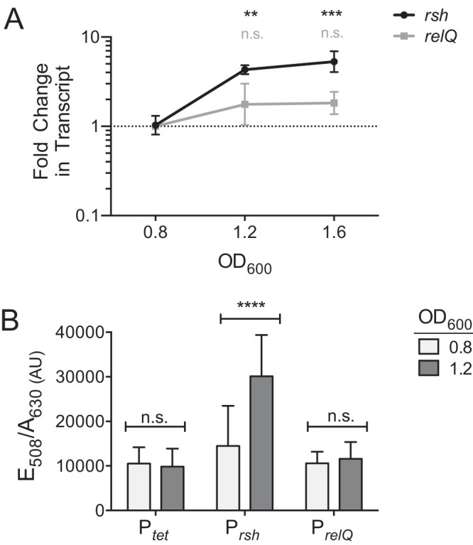 FIG 6