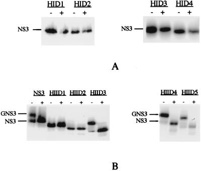 FIG. 3