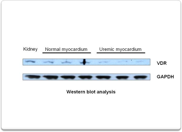 Fig.2