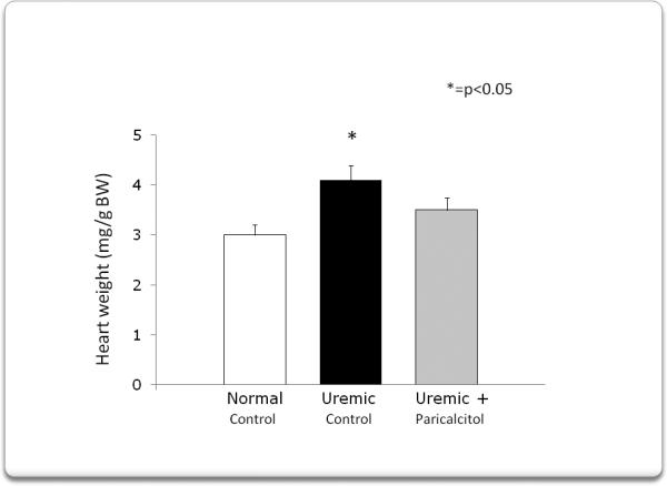 Fig.1