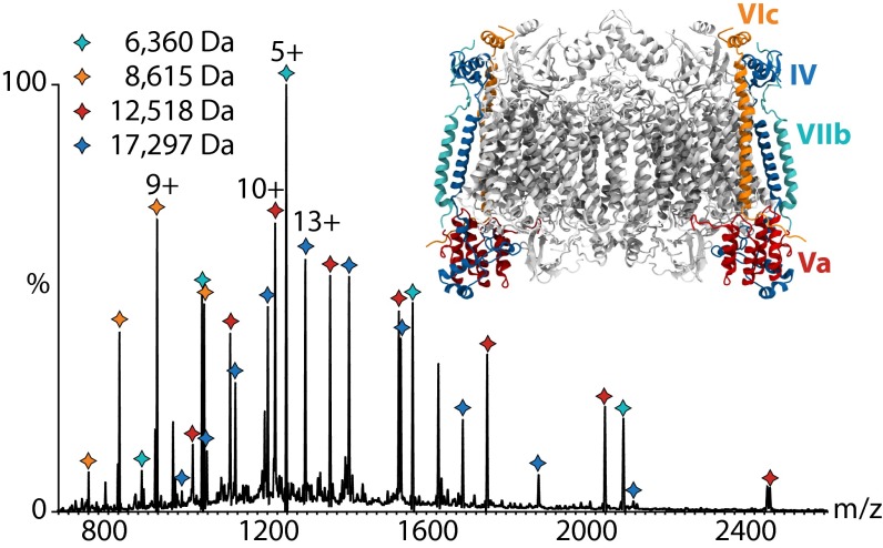 Fig. 3.