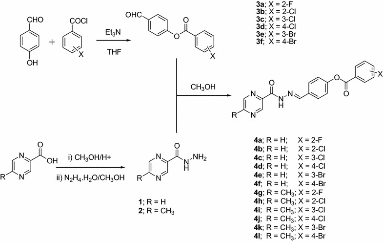 Scheme 1