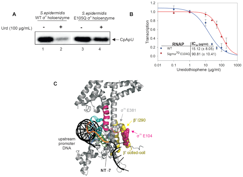 Figure 5.