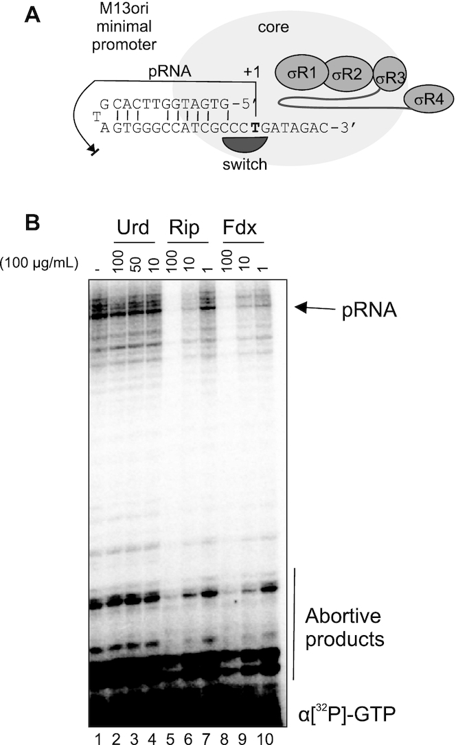 Figure 4.