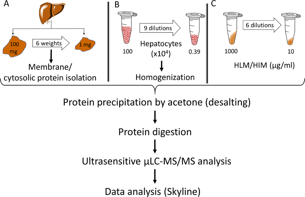 Figure 1: