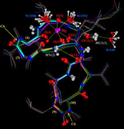 FIGURE 7