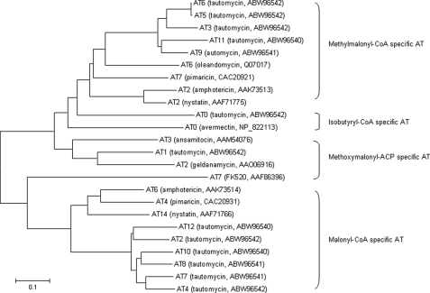 FIGURE 4.