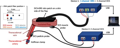 Fig. 2