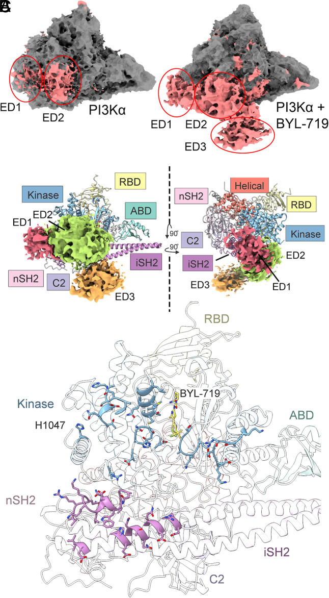 Fig. 4.