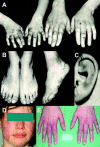 Figure  2.