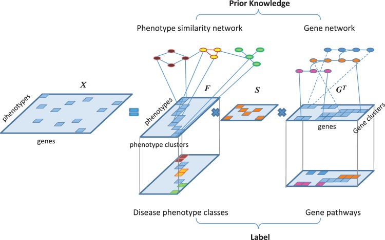 Figure 1.