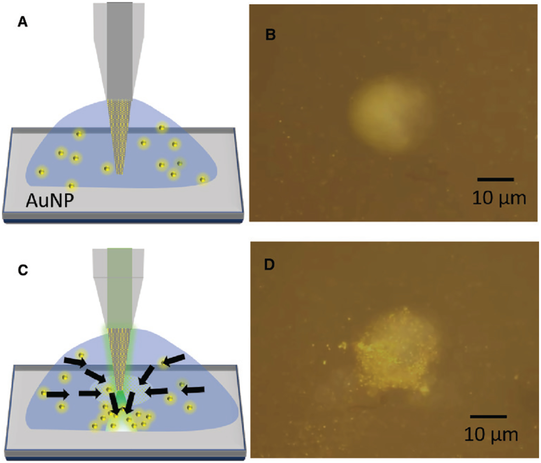 Figure 3: