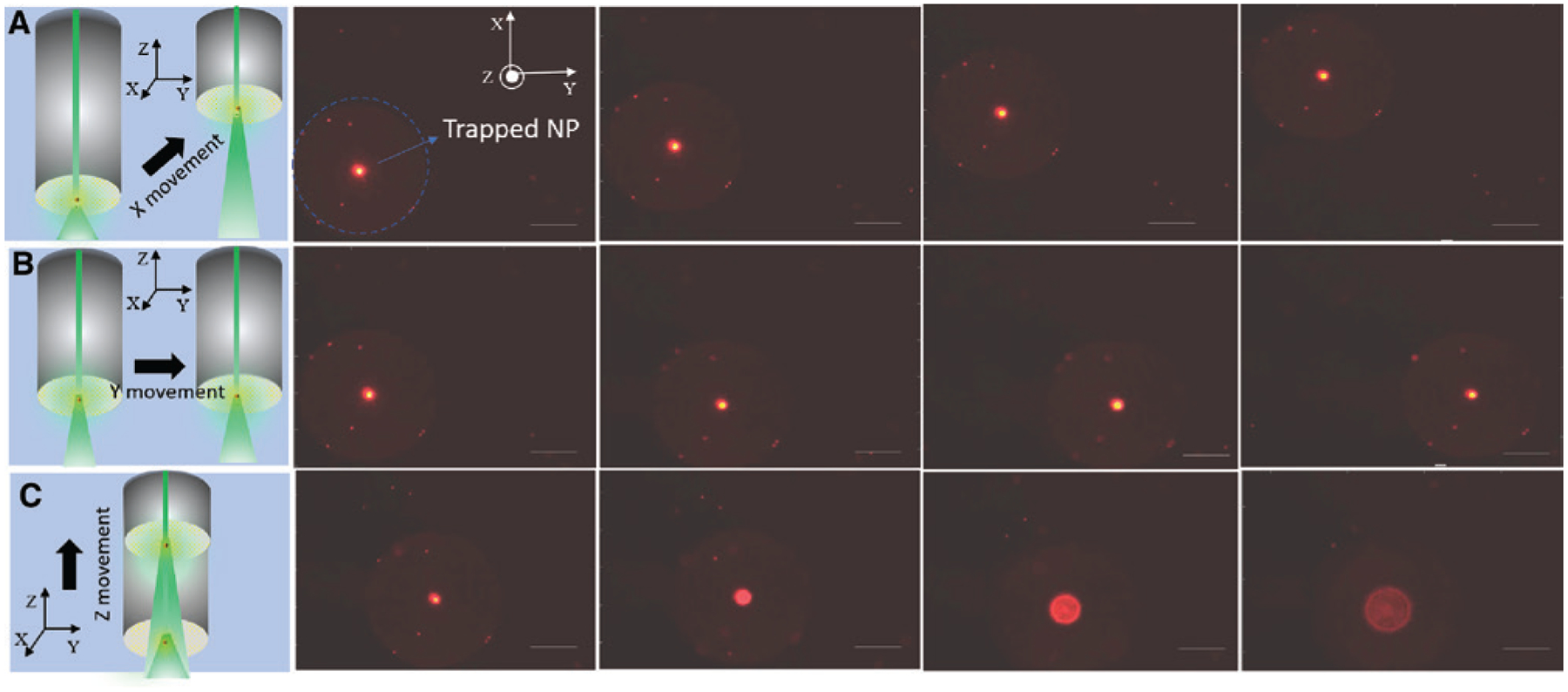 Figure 2: