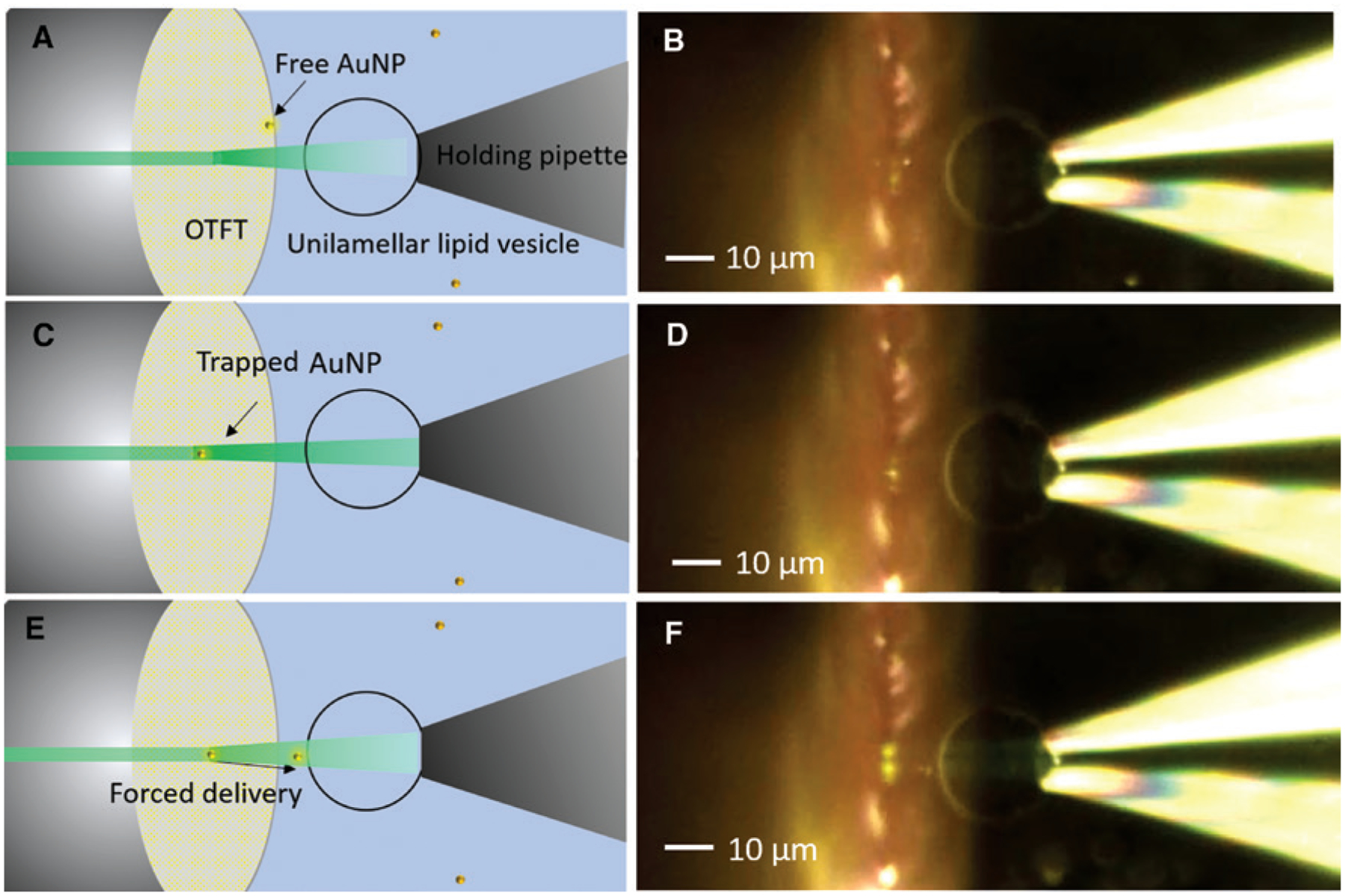 Figure 5: