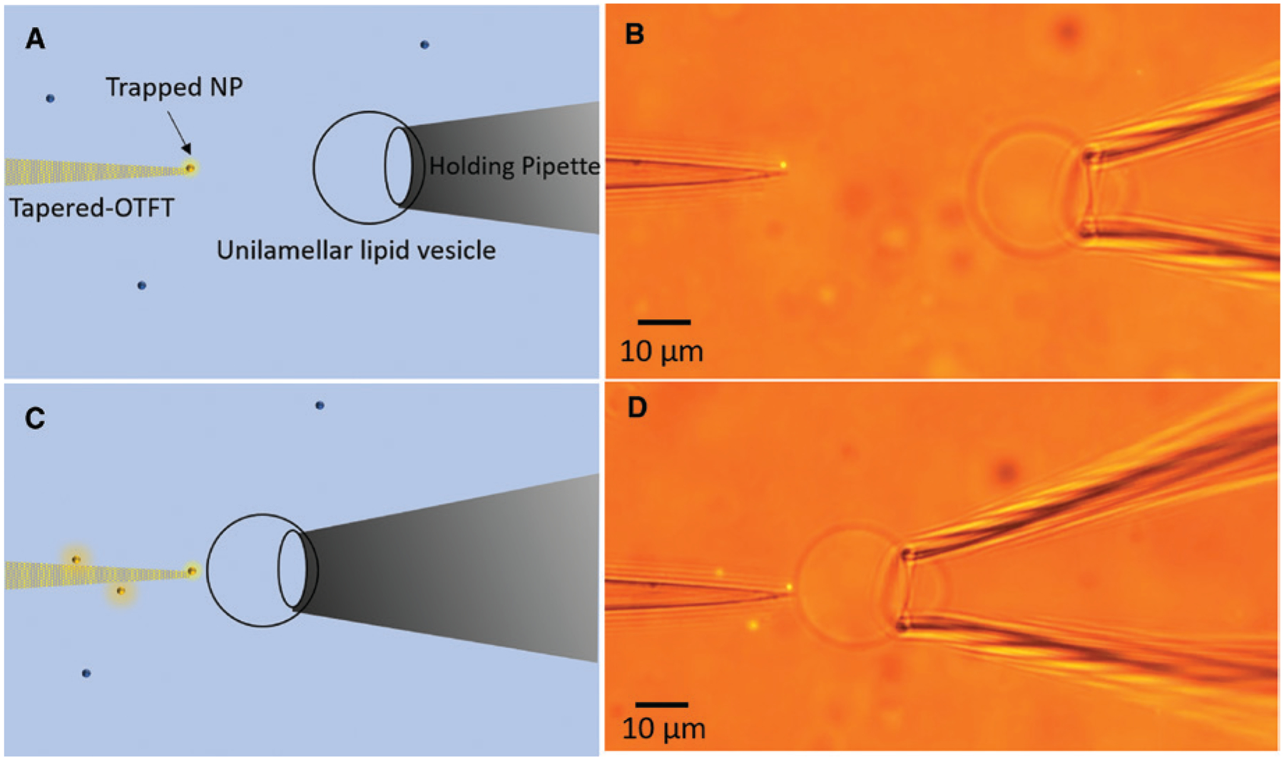 Figure 4: