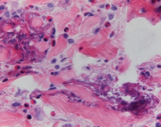 Figure 3)