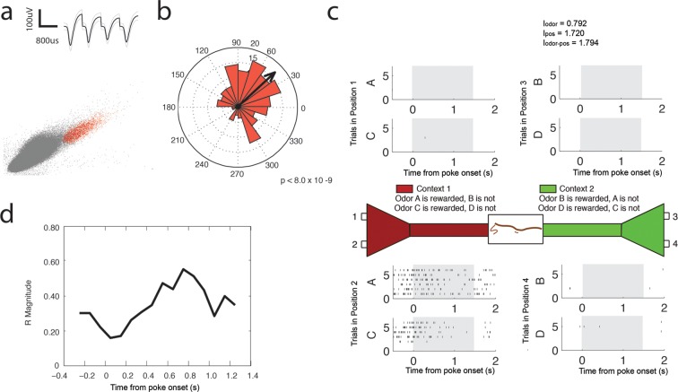 Figure 6—figure supplement 1.