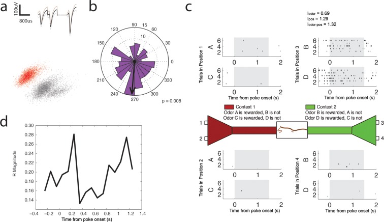 Figure 6—figure supplement 4.