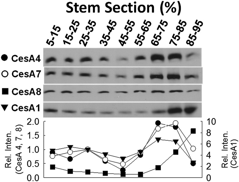 Figure 6.