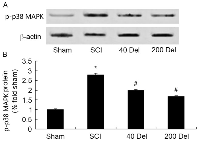 Figure 10.