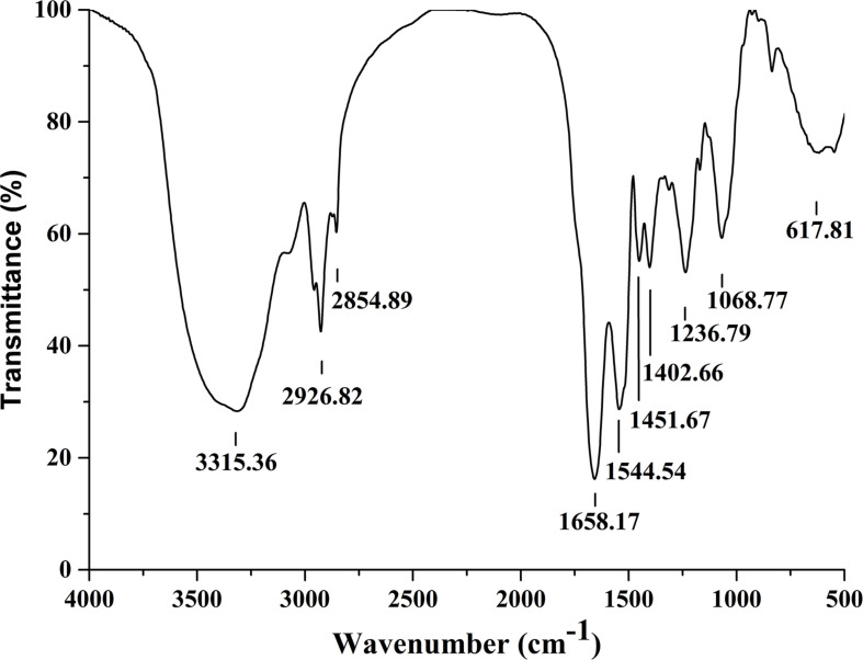 FIGURE 4