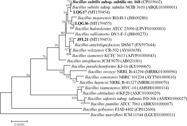 FIGURE 1