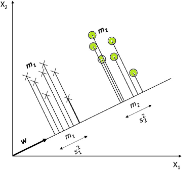 Fig. 7