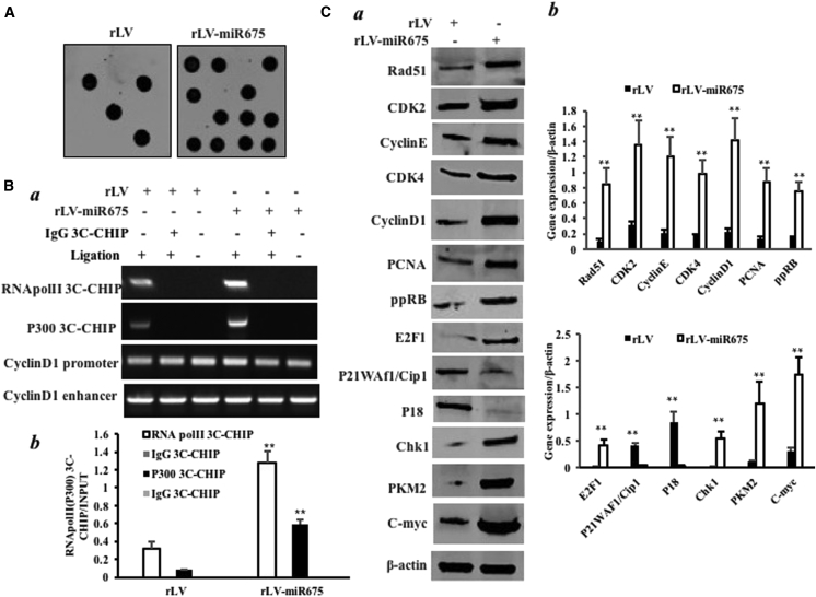 Figure 7