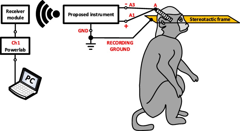 Fig. 12