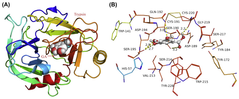 Fig. 12