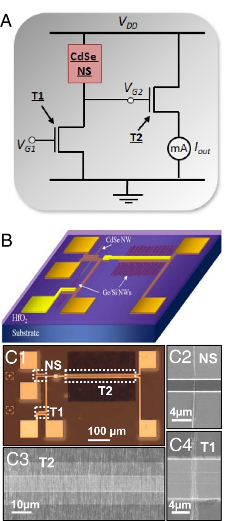 Fig. 2.