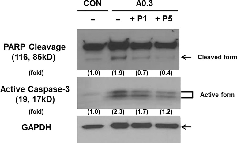 Fig 7