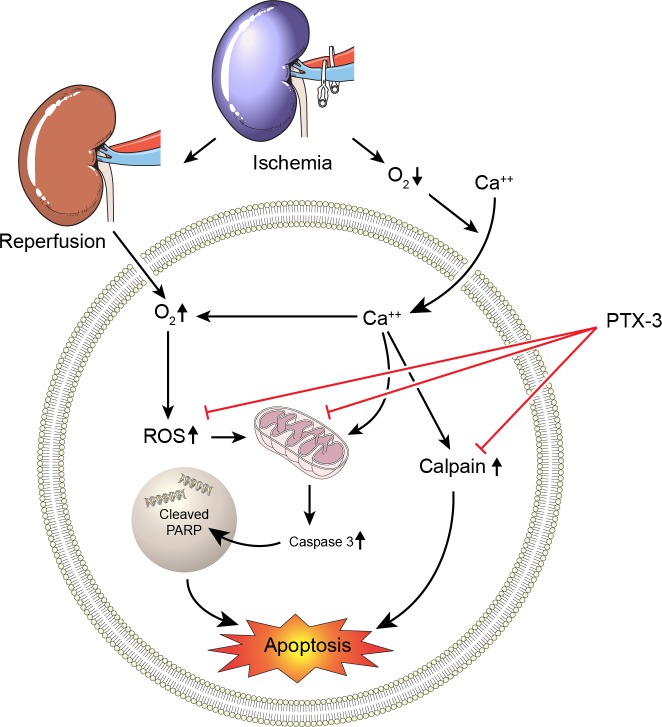 Fig 8