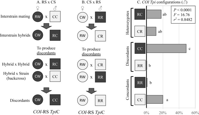 Fig 7